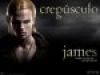 Cam Gigandet