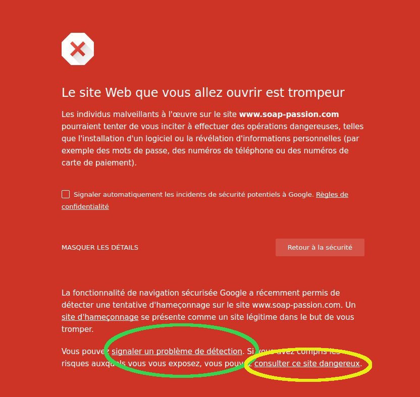 Le lien pour signaler l'erreur de détection