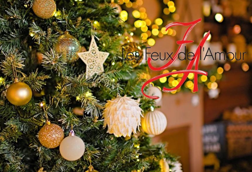 Quelle programmation des "Feux de l'Amour" pour les fêtes de fin d'année 2024 ?