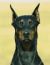 Photo de Tiny (le Chien), personnage dans Amour, Gloire et Beauté - Top Models, relation de la famille Logan