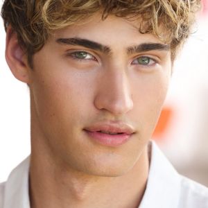 Biographie de Harrison Cone