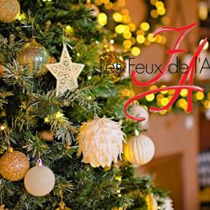 Quelle programmation des "Feux de l'Amour" pour les fêtes de fin d'année 2024 ?