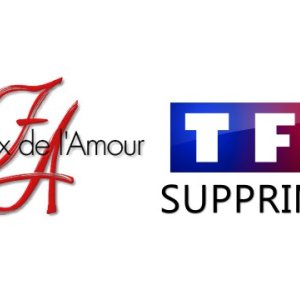Les Feux de l'Amour supprimé sur TF1 dès le 28 novembre