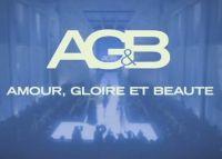 Délocalisation des doublages d'Amour, Gloire et Beauté : Pétition