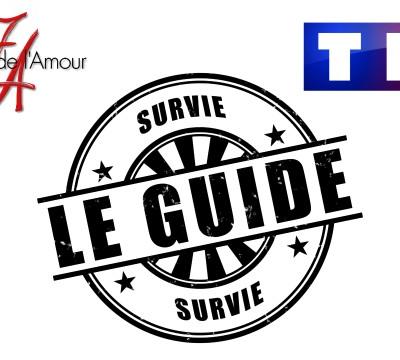 Les Feux de l'Amour suspendu en décembre sur TF1 : le guide de survie !