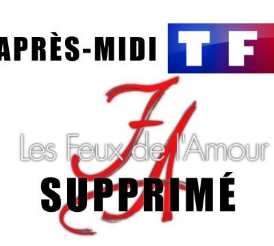 Fin des Feux de l'Amour sur TF1 l'après-midi
